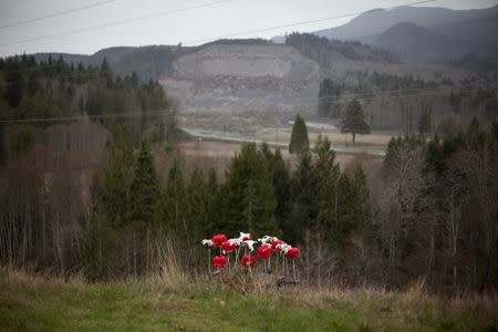 Artificial flowers left for victims of a mudslide are seen with the site of the slide in the background in Oso, Washington March 19, 2015. REUTERS/David Ryder