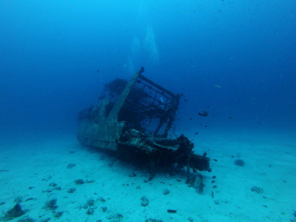 WWII shipwreck has leaked many pollutants into the sea, changing the ocean floor around it ( Frontiers in Marine Science)