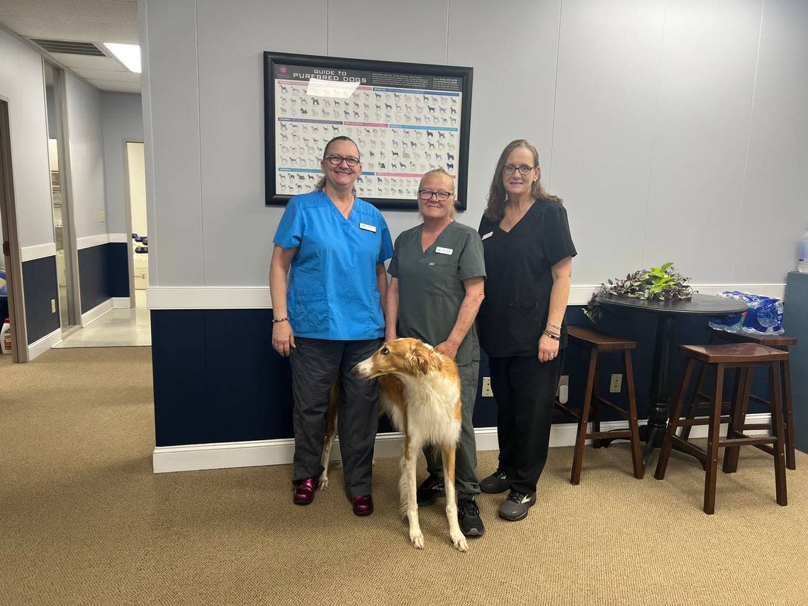 Stephanie Parker (left), Amy Burleson-Thompson, and Gina Hartless at Infinity Canine call themselves “The Sperm Girls,” for their work of canine semen collection, storage and shipping.