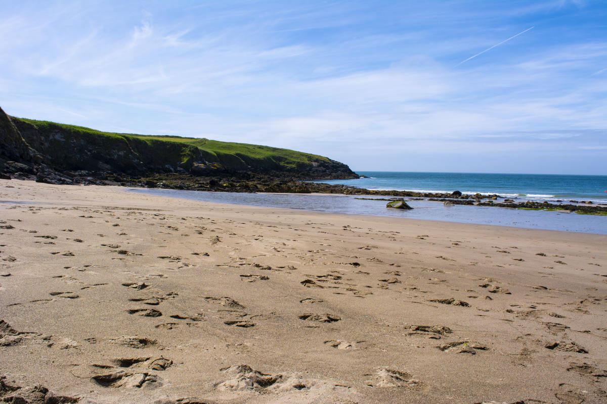 Best British beaches to visit this year, from Camber Sands to Studland Bay