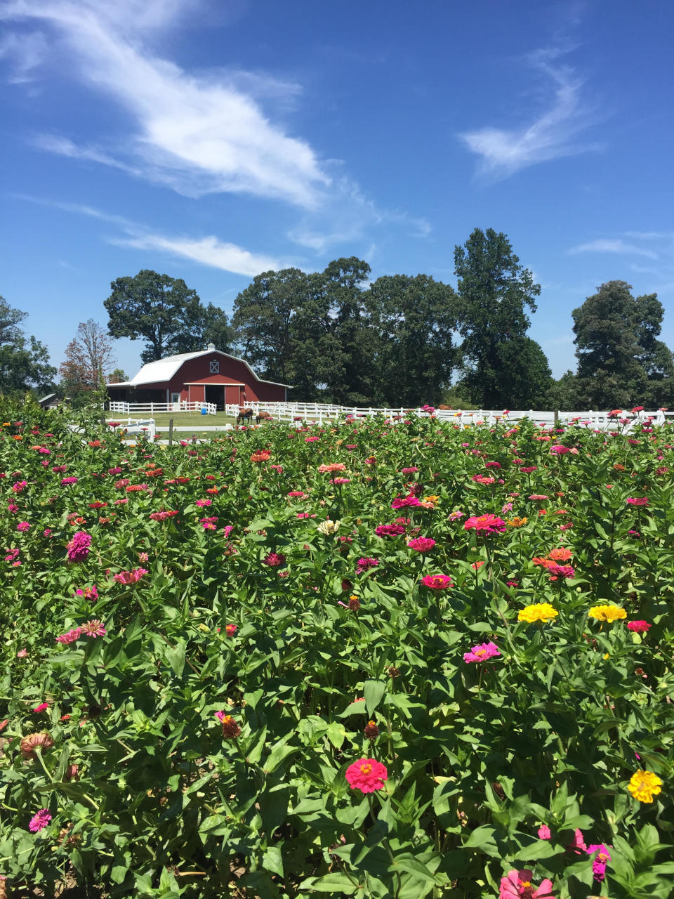 Plants, flowers and gardening materials will also be available at a stop along the tour.