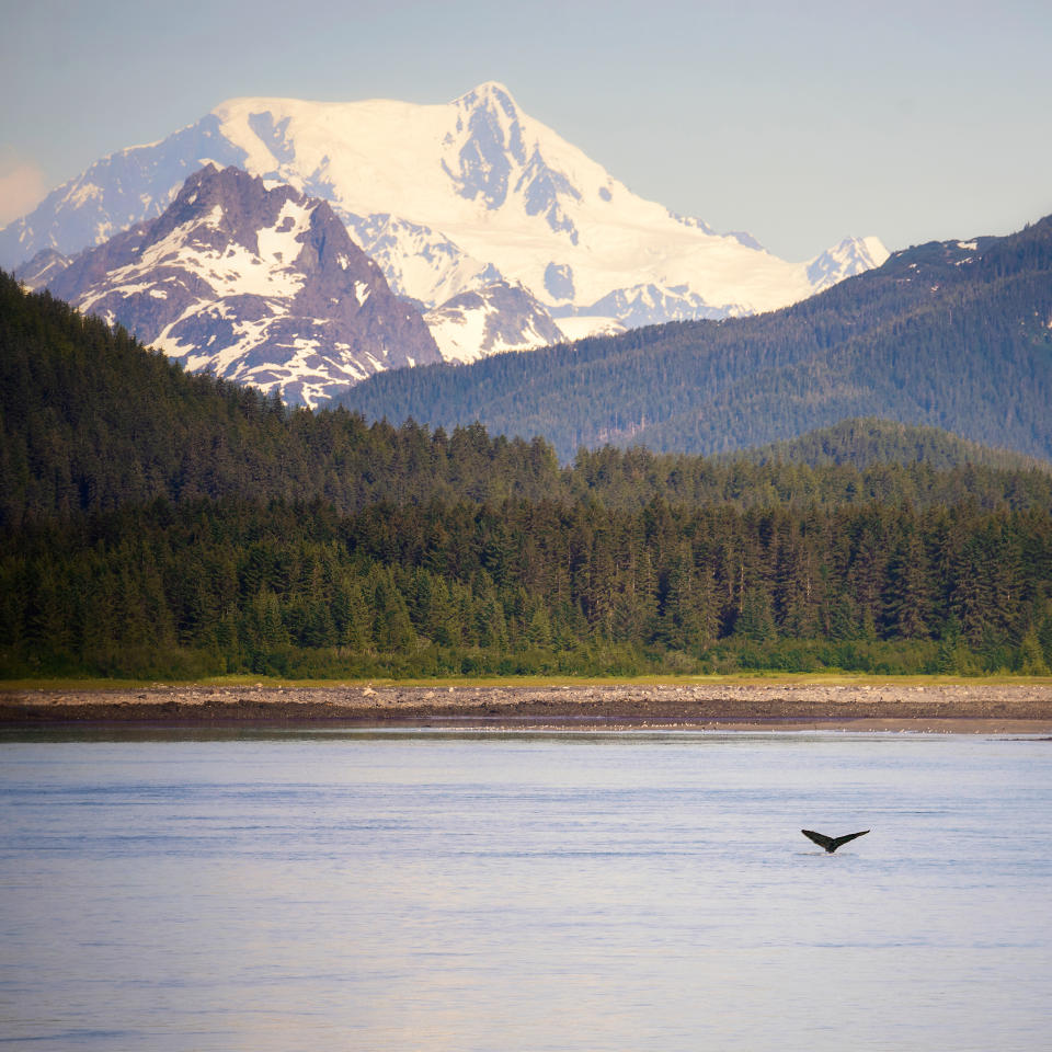 Glacier Bay National Park and Preserve, Alaska