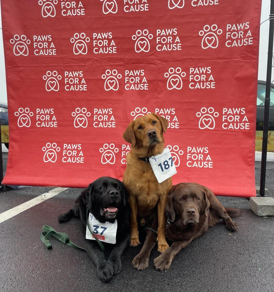 A trio of dogs relax after completing last year's JR's Paws for a Cause Annual 5K in Natick.