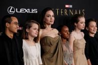 <p>Angelina Jolie entourée de Maddox, 20 ans, Zahara, 16 ans, Shiloh, 15 ans, et Vivienne et Knox, 13 ans</p>