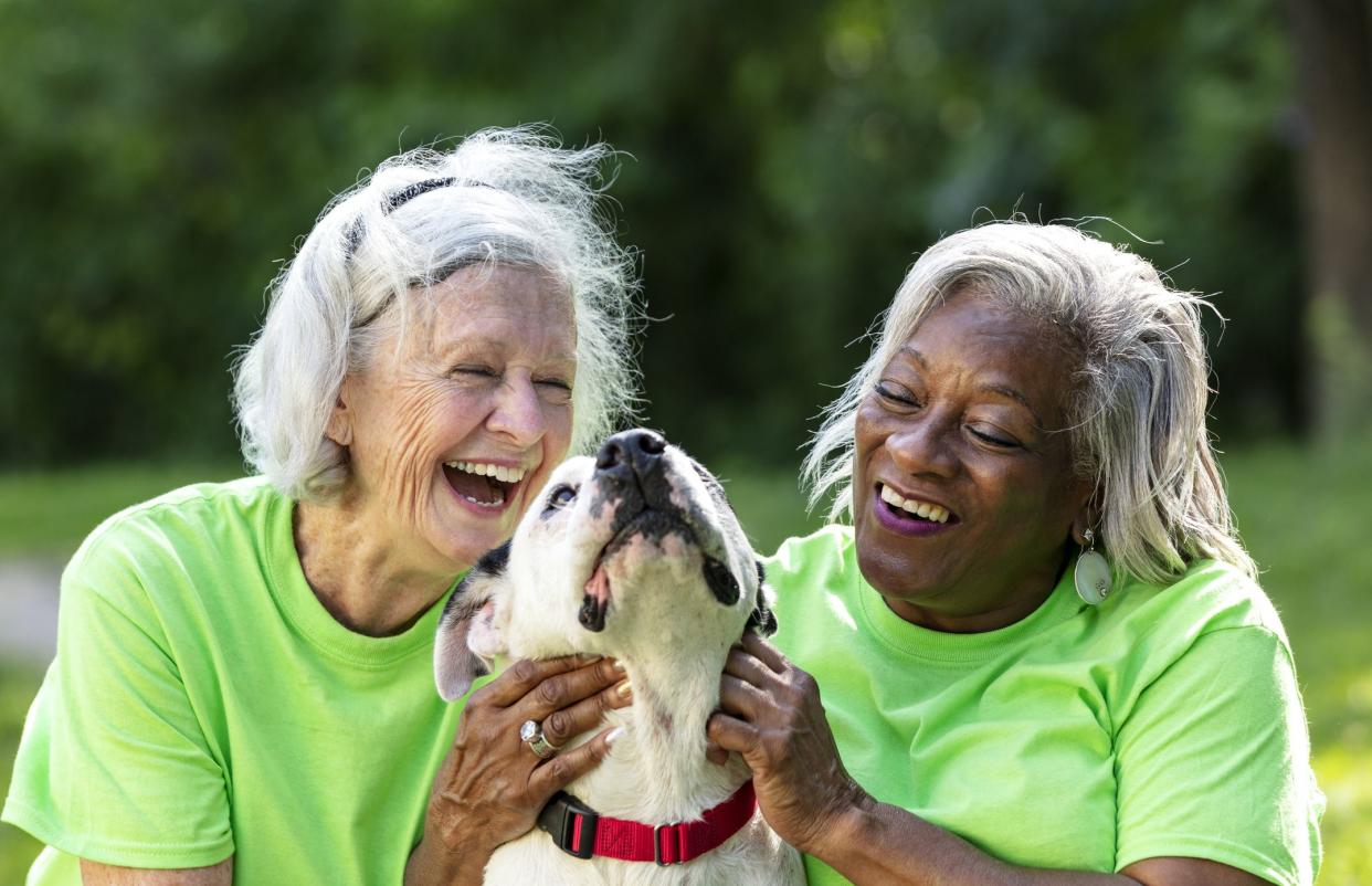 Two multiracial senior women volunteering at an animal shelter. They are sitting on the grass with a mixed-breed dog, petting it, smiling and laughing. The African-American woman is in her 60s and her friend is in her 70s.