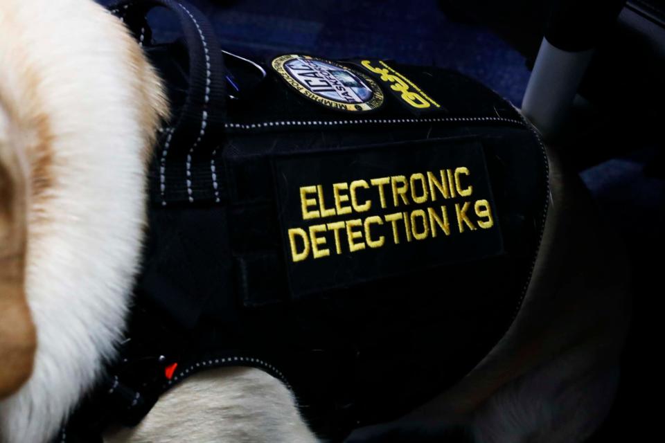 Glitch, an English Labrador who joined the Memphis Police Department in January of 2023, works in the Internet Crimes Against Children Task Force Program with his handler Sergeant Joshua Davis, can be seen with an “Electronic detection K9” vest at Memphis Police Department Headquarters on Monday, November 13, 2023 in Memphis, Tenn.