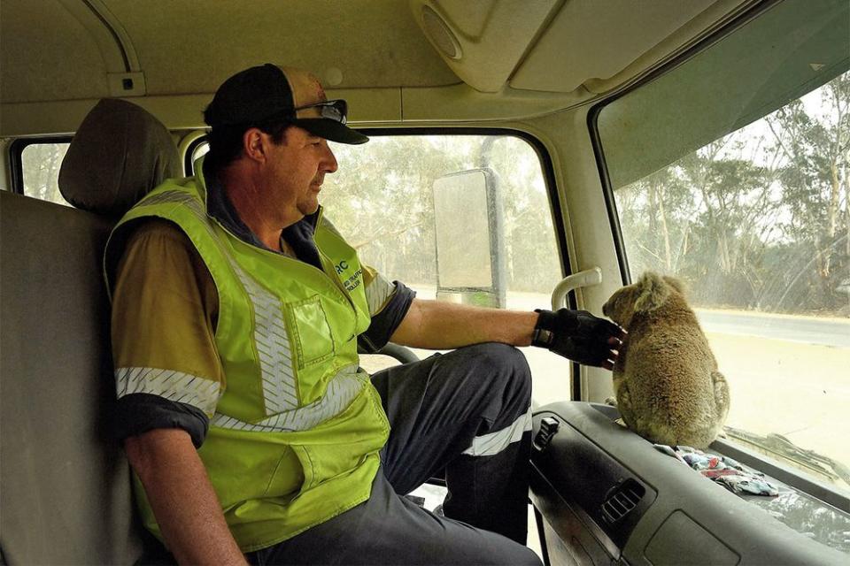 Kate Geraghty/The SMH/Fairfax Media via Getty