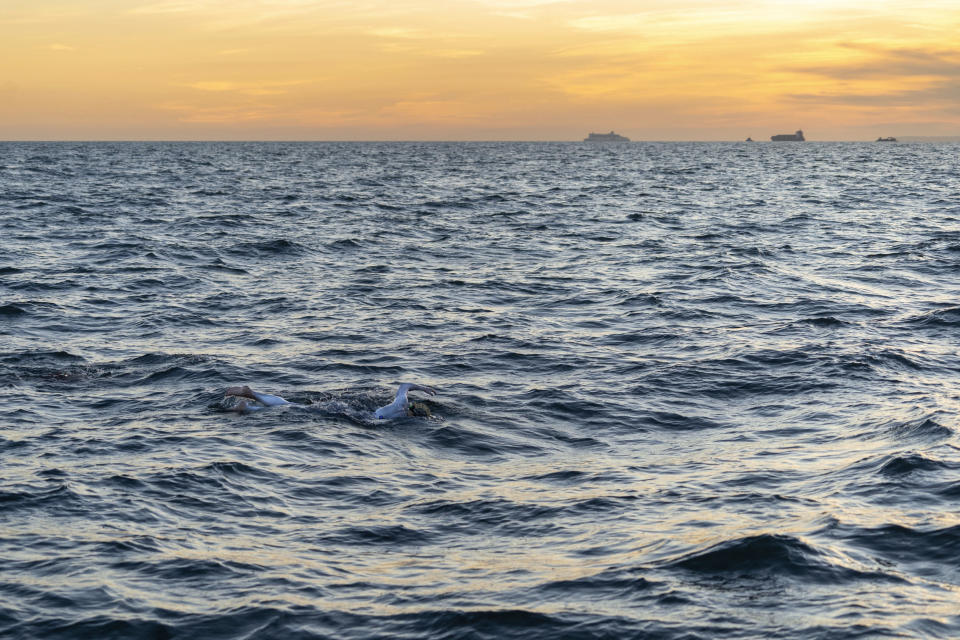 This undated photo shows American swimmer Sarah Thomas, 37, swim the English Channel. The American cancer survivor has become the first person to swim across the English Channel four times in a row completing the remarkable feat Tuesday morning Sept. 17, 2019, after more than 54 hours of swimming. (Jon Washer via PA via AP)