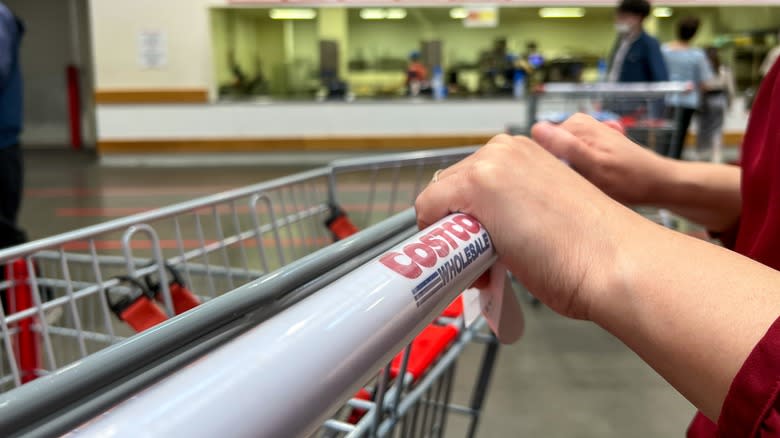 hands on a Costco shopping cart