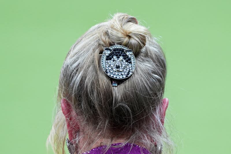 A handler wears an Alaskan malamute hair pin during the sporting group competition at the 148th Westminster Kennel Club dog show, Tuesday, May 14, 2024, at the USTA Billie Jean King National Tennis Center in New York. | Julia Nikhinson