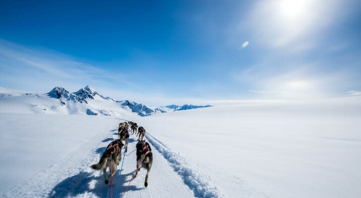 Dogsledding in Alaska