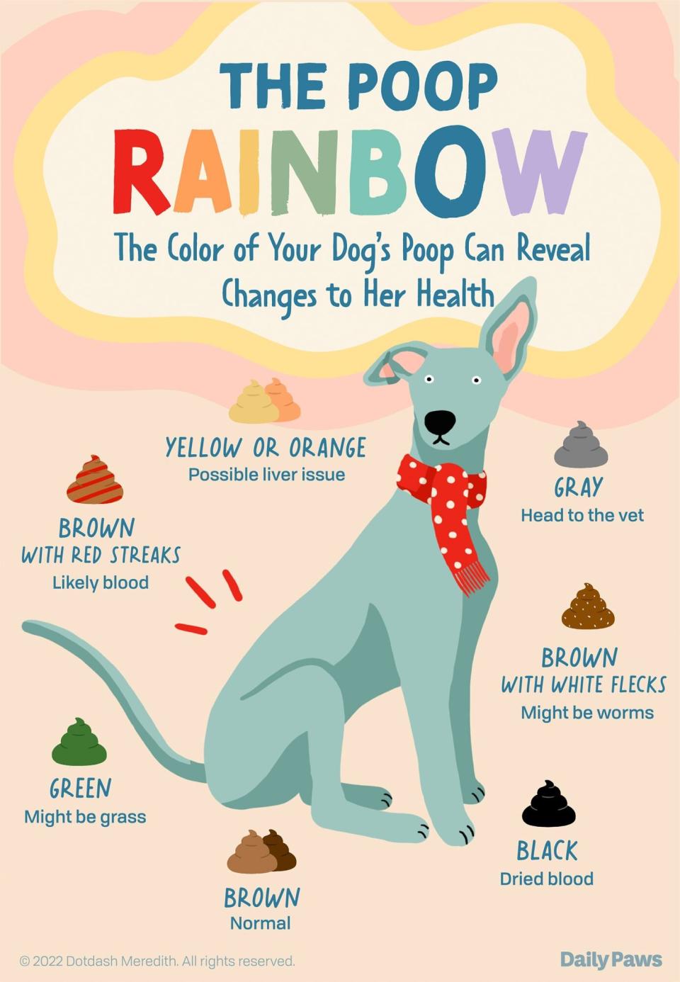 infographic showing the different colors of dog poo and what each means