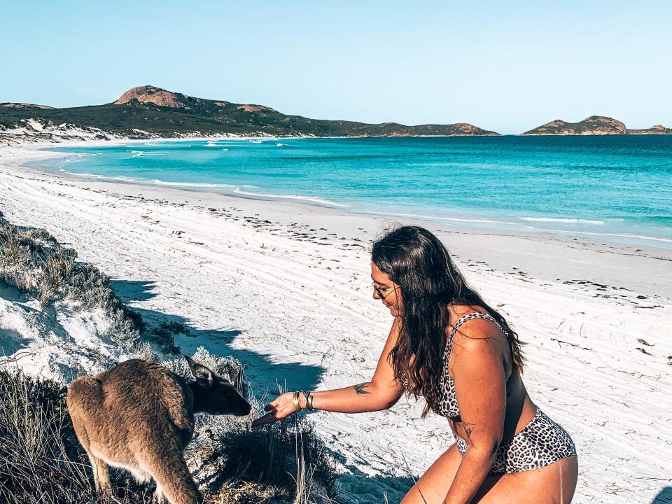 Kate Boardman in Australia with an animal.