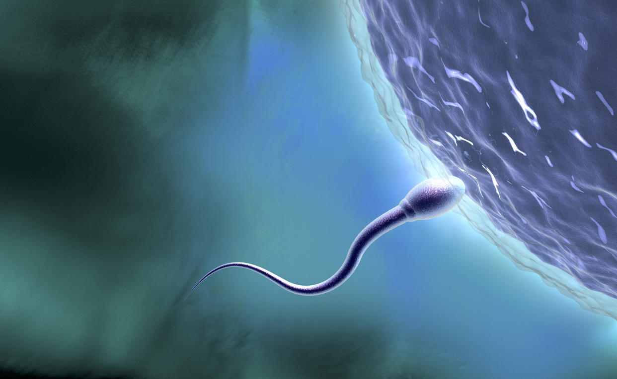 Sperm mutations can pass diseases to children. (Stock, Getty Images)