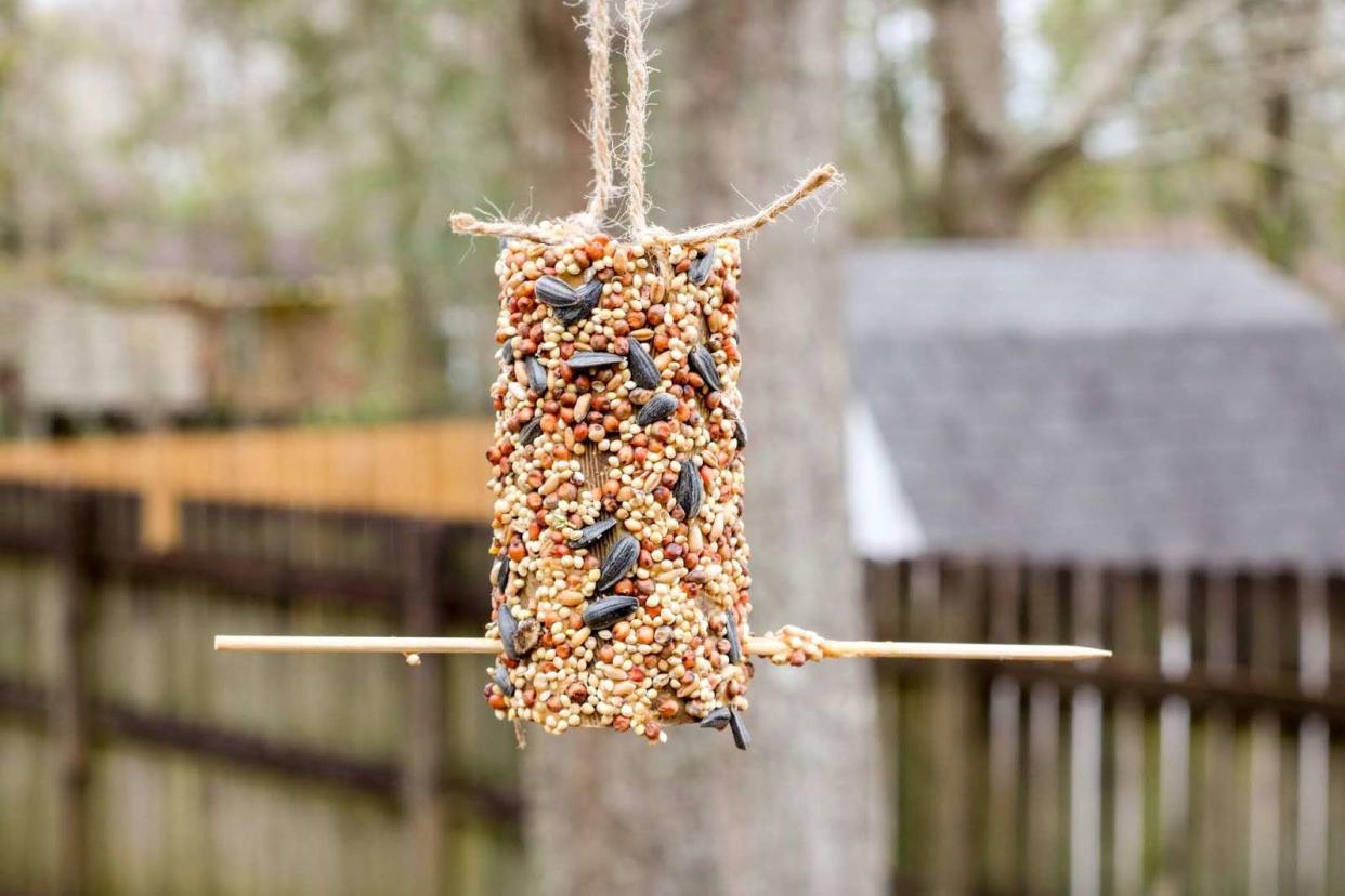 <p><a href="https://www.attachmentmummy.com/2020/03/how-to-make-easy-simple-bird-feeder.html">Attachment Mummy</a></p>