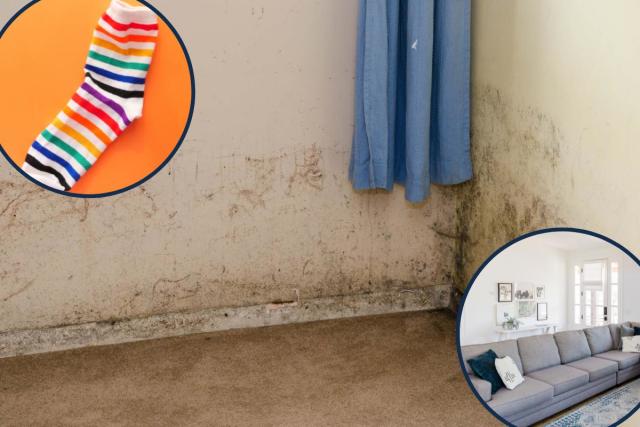 Mould prevention: 7 moisture absorbing products to help prevent damp and  mould damage in the home