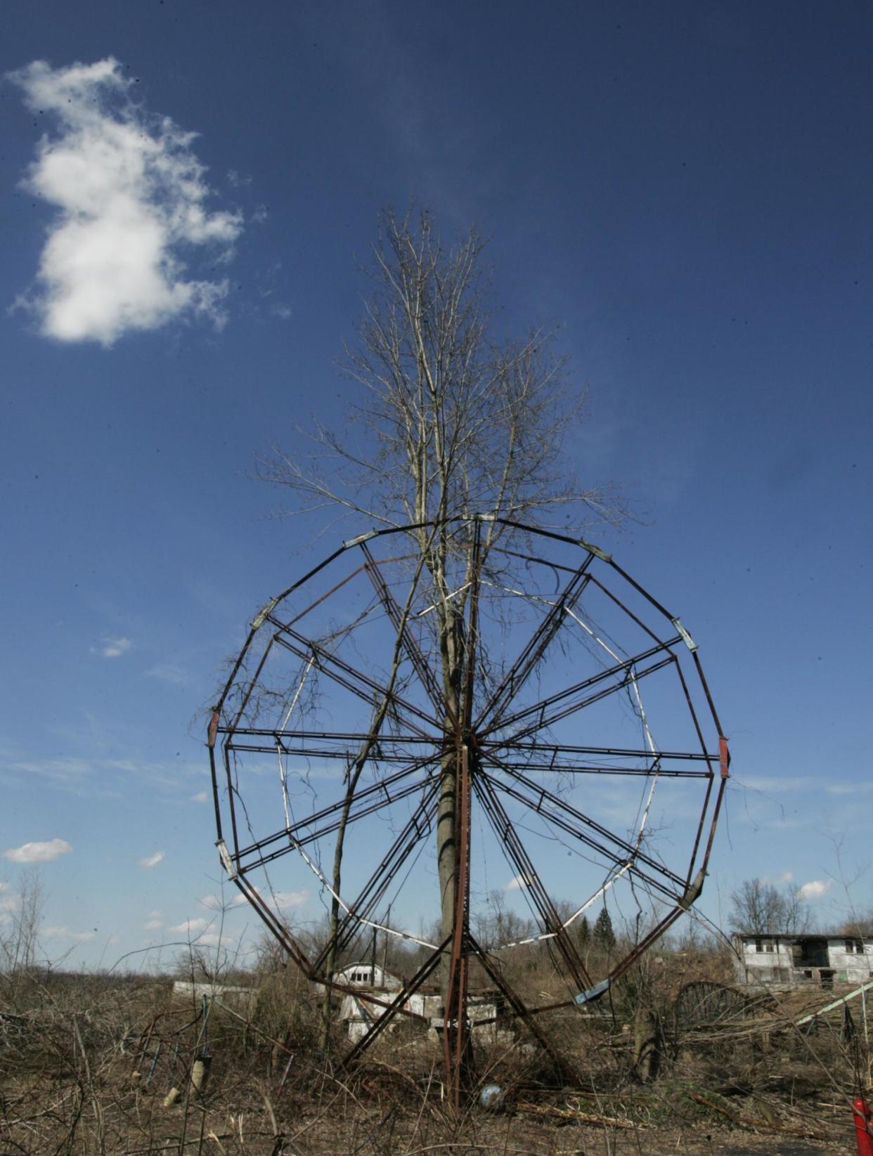 A tree grows through the middle of the Ferris wheel at the old Chippewa Lake Park on April 1, 2009, in Chippewa Lake Village.