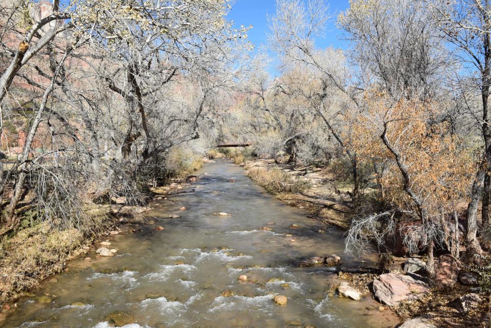 A section of the Virgin River flows through Springdale, fed by melting snow in the mountains above Zion National Park. Water officials in Utah have high hopes for the spring of 2023, with a wet, snowy winter having packed the mountains with about twice as much snow-water as usual for the time of year.