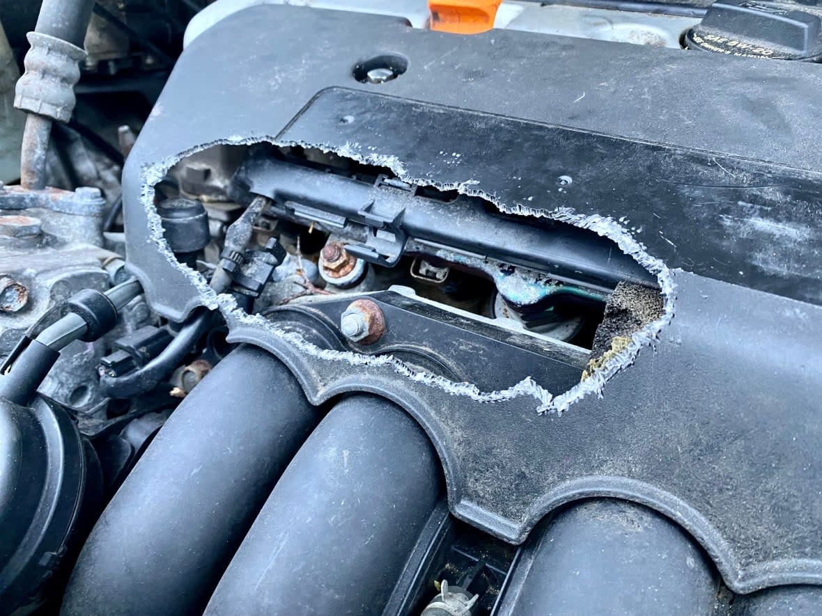 Anna Chamberlain of London, Ont., snapped this photo after a rodent chewed through the engine cover of her car. (Submitted by Anna Chamberlain - image credit)