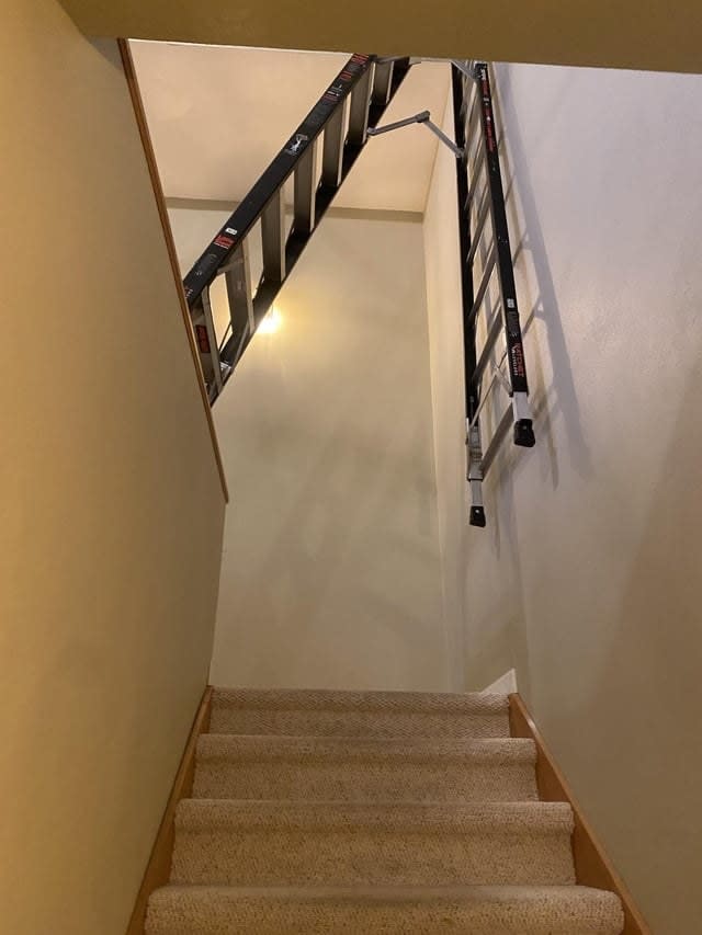A ladder on someone's stairs