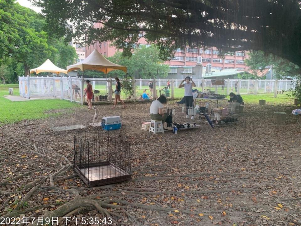 李姓愛媽長期於本市華山狗公園旁空地送養犬貓。（北市動保處提供）