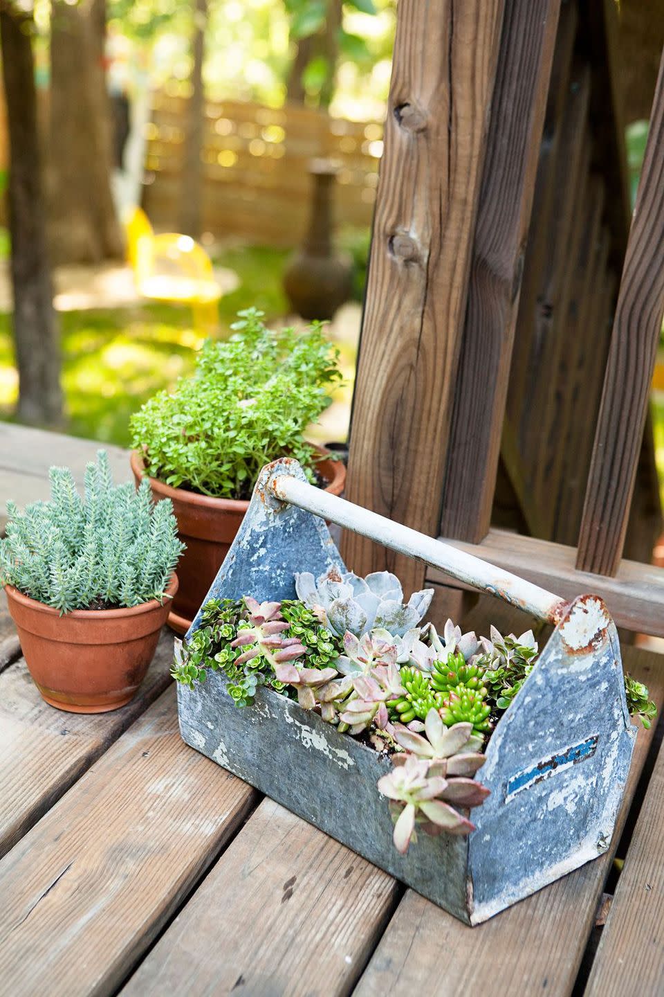 <p>Fill an old tool box or galvanized bucket with low-maintenance succulents for a small (but mighty) display. </p>