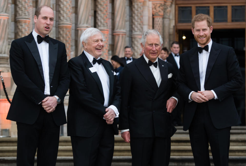 LONDON, ENGLAND - APRIL 04: Prince William, Duke of Cambridge,  Sir David Attenborough, Prince Charles, Prince of Wales and Prince Harry, Duke of Sussex attend the 'Our Planet' global premiere  at Natural History Museum on April 04, 2019 in London, England. (Photo by Samir Hussein/Samir Hussein/WireImage)