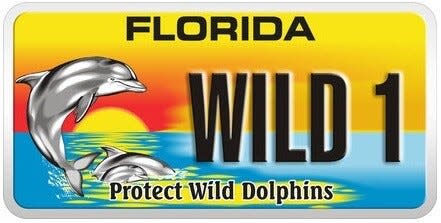 Photo of Protect Wild Dolphins license plate
