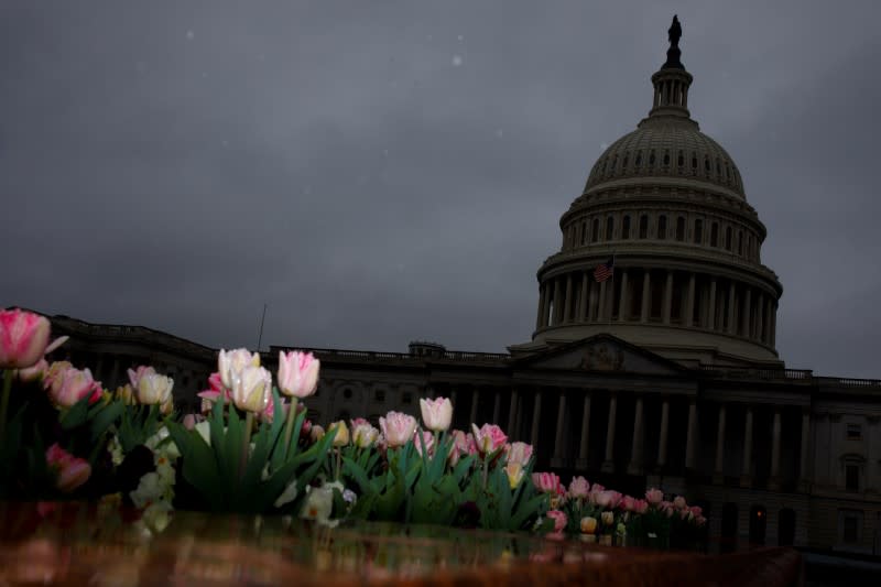 The U.S. Capitol during a morning rainstorm, after Congress agreed to a multi-trillion dollar economic stimulus package created in response to the economic fallout from the COVID-19 Coronavirus, on Capitol Hill in Washington