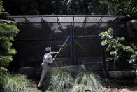 Victoria Girdler, a senior wildlife care specialist at the San Diego Zoo, clears off cobwebs from honey badger enclosure Thursday, June 11, 2020, in San Diego. California's tourism industry is gearing back up with the state giving counties the green light to allow hotels, zoos, aquariums, wine tasting rooms and museums to reopen Friday. (AP Photo/Gregory Bull)