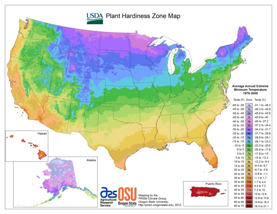 The old 2012 map, seen here, isn't as detailed or regional as the new plant hardiness map, in large part to the 2023 map including data from many more weather stations.