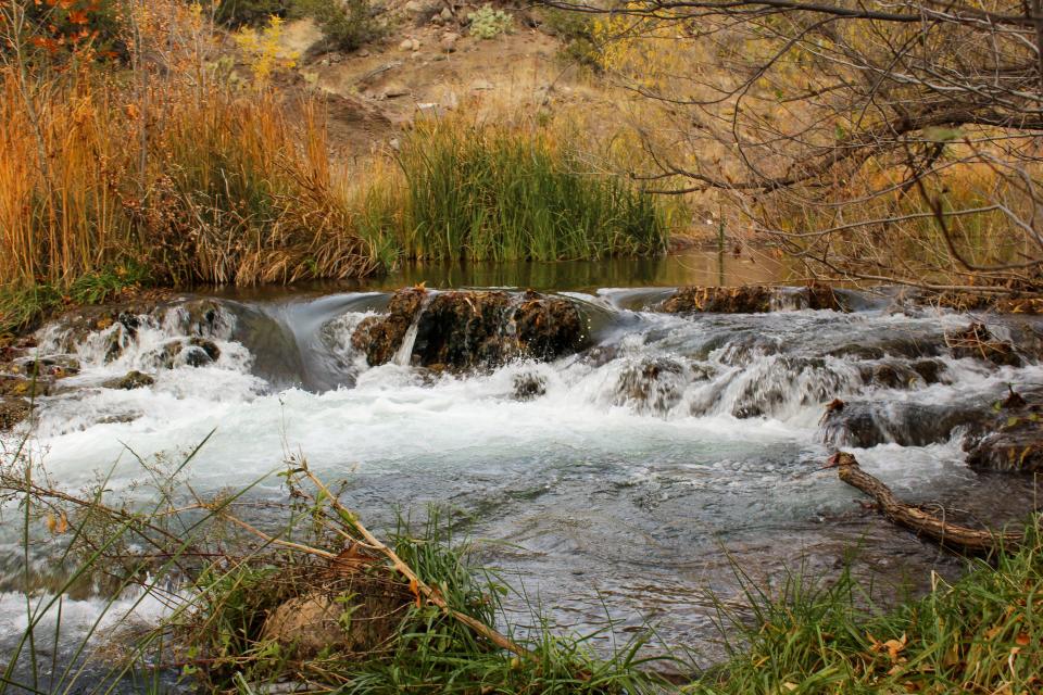 Water flows through Fossil Creek, riparian vegetation grows back.