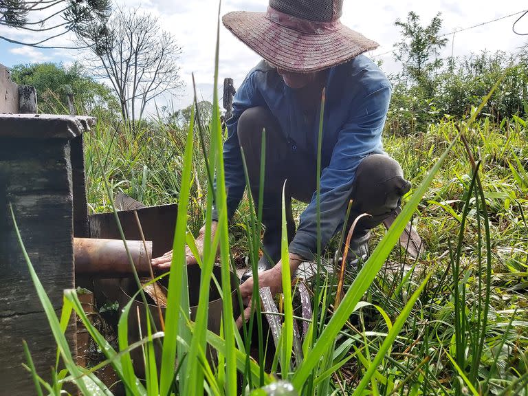 Vivir en la Selva Misionera; sociedad