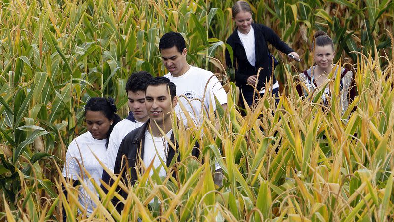 BYU students and a group of Girl Scouts make their way through a corn maze at Thanksgiving Point in Lehi on Sept. 25, 2012. Why do some people have some sense of direction? Experts say you can improve yours.