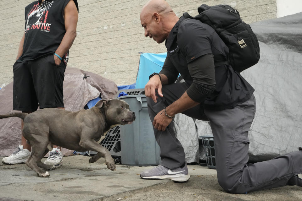 Dr. Kwane Stewart is greeted by Kilo, a dog who lives in a tent in the Skid Row area of Los Angeles on Wednesday, June 7, 2023. “The Street Vet,” as Stewart is known, has been supporting California's homeless population and their pets for almost a decade. (AP Photo/Damian Dovarganes)