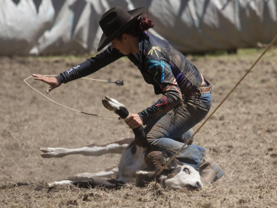 Anti Rodeo Action NZ