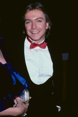 <p>Vinnie Zuffante/Getty </p> David Cassidy in 1981