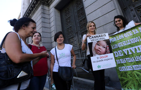 Demonstrators hold up signs as they wait outside the Congress for the Senate to pass a law to legalise the medical use of cannabis in Buenos Aires, Argentina, March 29, 2017. The sign show a girl named Nayra, who suffers from refractory partial epilepsy and has been using cannabis to treat her illness for the past two years, and reads "Medical cannabis - the pain can't wait". REUTERS/Marcos Brindicci