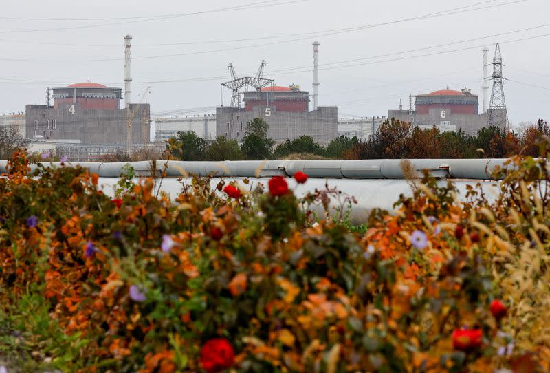 FILE PHOTO: A view shows the Zaporizhzhia Nuclear Power Plant outside Enerhodar