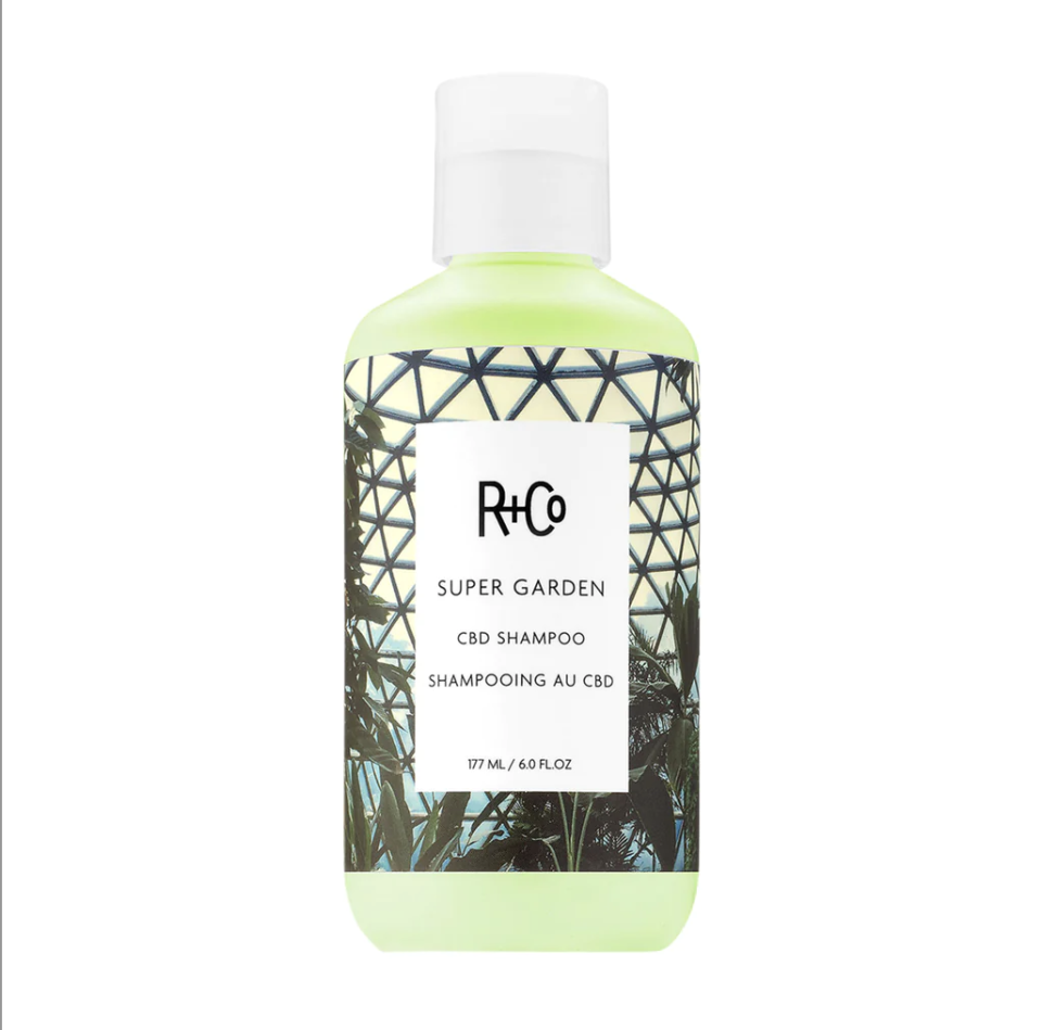 <p><a href="https://go.redirectingat.com?id=74968X1596630&url=https%3A%2F%2Fwww.randco.com%2Fproducts%2Fsuper-garden-shampoo&sref=https%3A%2F%2Fwww.bestproducts.com%2Fbeauty%2Fg39316581%2Fbest-dry-scalp-shampoos%2F" rel="nofollow noopener" target="_blank" data-ylk="slk:Shop Now;elm:context_link;itc:0;sec:content-canvas" class="link ">Shop Now</a></p><p>Super Garden Shampoo</p><p>randco.com</p><p>$36.00</p>