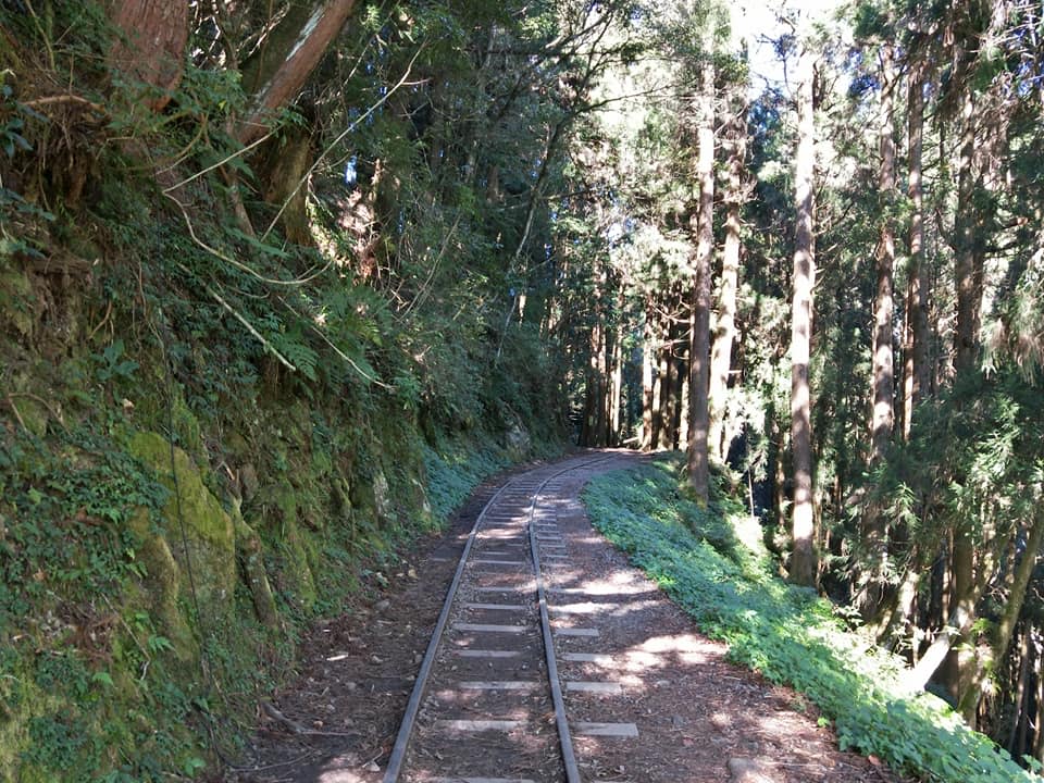 阿里山國家風景管理處提醒，阿里山鄉鄒族部進出之25條步道不解封，遊客請勿進入。（圖為特富野古道）   圖：翻攝自阿里山國家森林遊樂區臉書