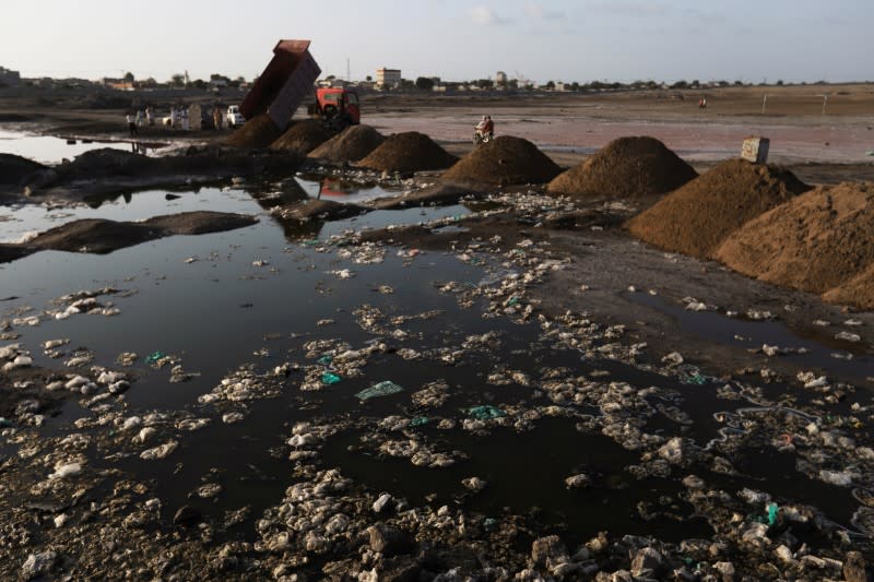 Truck pours sand on stagnant water pools to drain the potential breeding sites of Aedes aegypti mosquitoes, known to spread the dengue fever, in Hodeidah