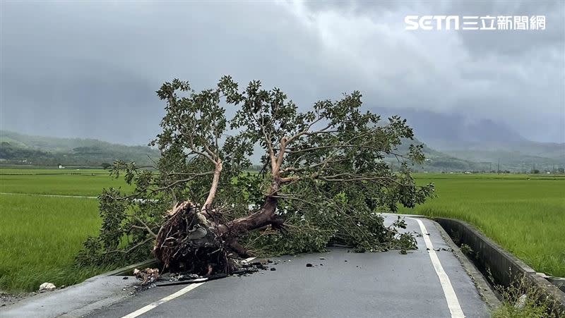 台東縣海端鄉霧鹿村、利稻村5日停止上班、停止上課。（圖／記者王浩原攝影）