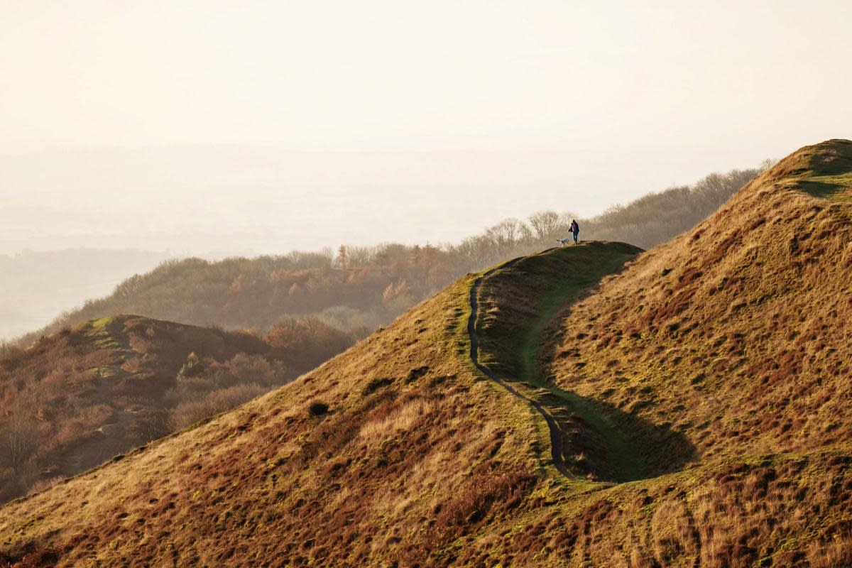 Police are searching for the Malvern Hills 'phantom pooer' <i>(Image: SWNS)</i>