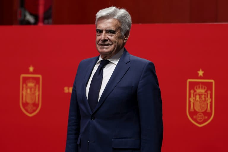 Pedro Rocha has been appointed as president of the scandal-hit Spanish football federation amid being investigated in a corruption probe (Thomas COEX)