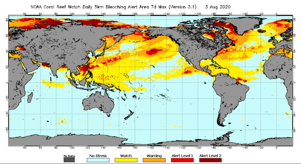 Map of global sea surface temperatures, color coded to show bleaching risks.