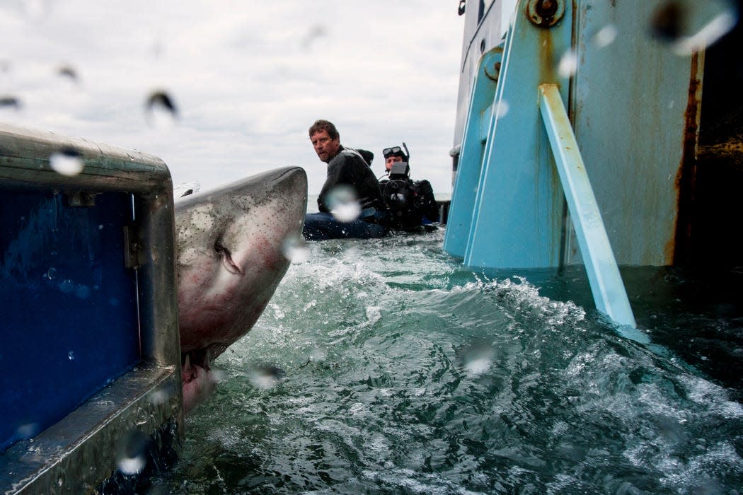 Gov. Ron DeSantis vetoed $7 million from the state budget that would have helped create a base for OCEARCH at Mayport for its shark-tracking operations.