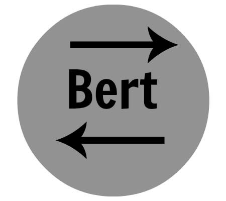 Bert