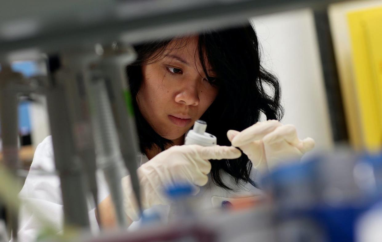 <span class="caption">A lab worker extracts DNA from samples for further tests at the AIDS Vaccine Design and Development Laboratory Dec. 1, 2008 in New York City. </span> <span class="attribution"><a class="link " href="https://www.gettyimages.com/detail/news-photo/hanh-nguyen-intern-with-the-immunogen-design-group-works-news-photo/83872705?adppopup=true" rel="nofollow noopener" target="_blank" data-ylk="slk:Chris Hondros/Getty Images;elm:context_link;itc:0;sec:content-canvas">Chris Hondros/Getty Images</a></span>