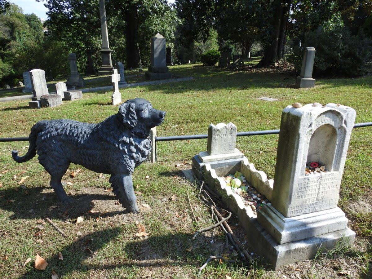 Florence Bernadine Rees's grave in the Hollywood Cemetery, Richmond, Virginia with a black cast-iron statue of a newfoundland dog on the left and several small toys, with numerous other graves in the background